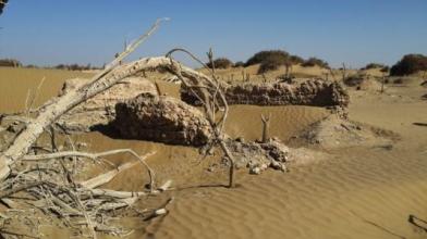 GPS巡檢系統(tǒng)