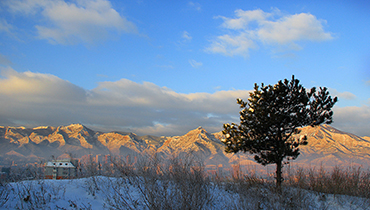 林業防火就選金萬碼GPS巡檢系統