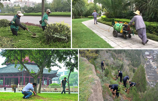 1571829903659520.jpg 合.jpg