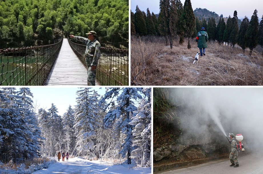 森林資源管護(hù) 森林資源管護(hù)