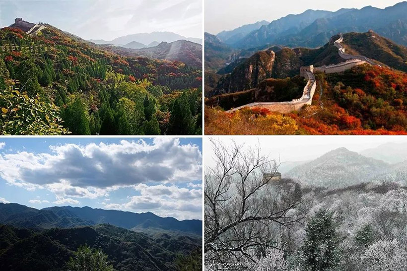 1686308906729737.jpg 820.jpg